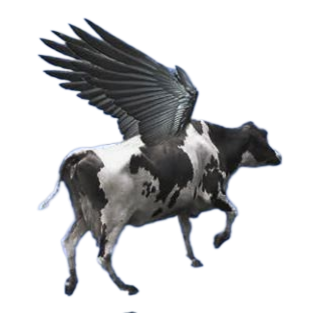 flying cow